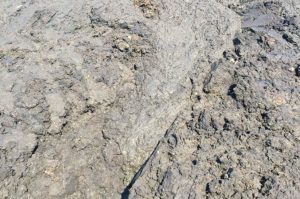 Blunk Entsandung -5