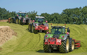 Blunk Ernte Gras GPS Grünfutter: Silage im Silo