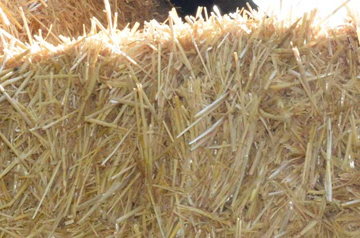 Angebot - Stroh, Heu, Masisilage, Grassilage