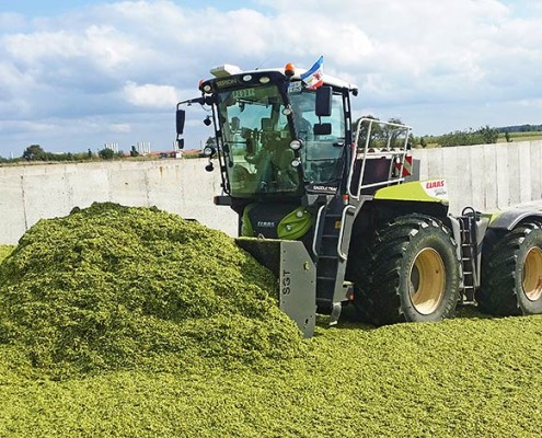 Blunk Maisernte 2015 -1