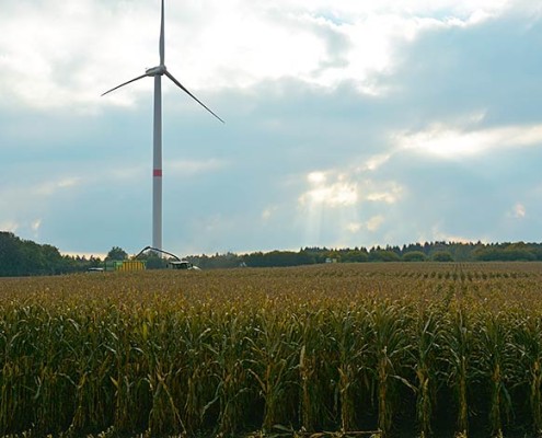 Blunk Maisernte 2015 -10