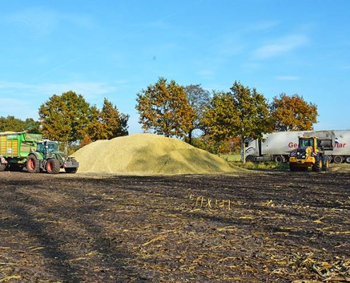 Blunk Maisernte 2015 -5