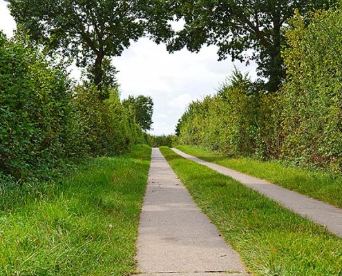 Blunk Wege freischneiden Mulag -2