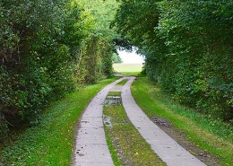 Blunk Wege freischneiden Mulag -4
