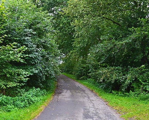 Blunk Wege freischneiden Mulag -6