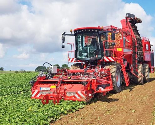 Blunk neue Technik Rübenroder