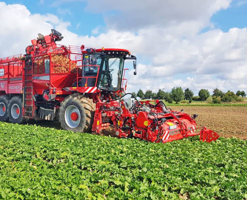 Blunk Rübenernte Mecklenburg-Vorpommern