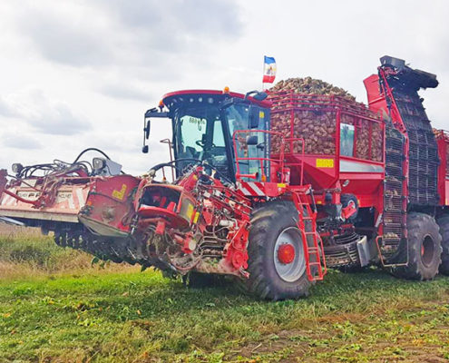 Blunk Rübenernte Mecklenburg-Vorpommern