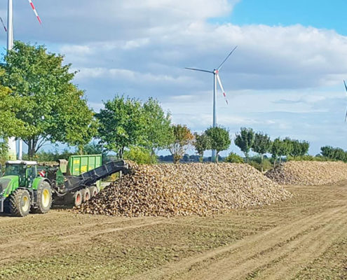 Blunk Rübenernte Mecklenburg-Vorpommern