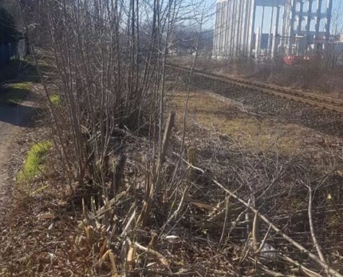 Blunkmulcht Böschung an der Bahnlinie 04