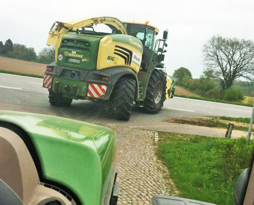 Blunk Grünroggen Ernte Holtsee
