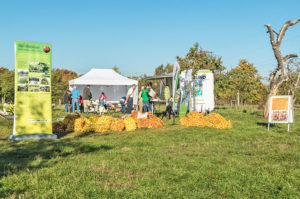 Alte Obstwiese eV Neumünster Erntefest