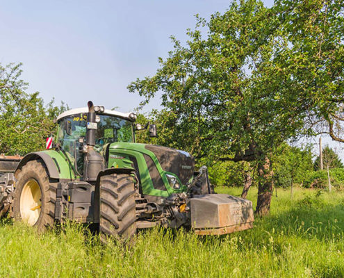 Blunk Einsatz Alte Obstwiese eV Neumünster wird zur neuen Blühwiese