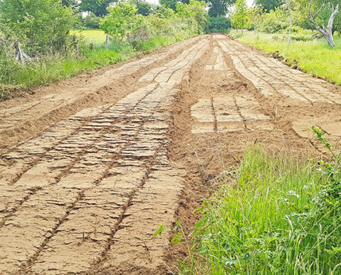 Blunk Einsatz Alte Obstwiese eV Neumünster wird zur neuen Blühwiese