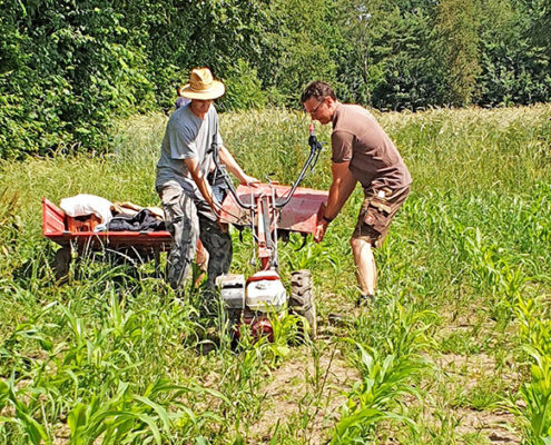 Blunk Maislabyrinth Hof Viehbrook Fräsen