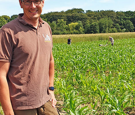 Blunk Maislabyrinth Hof Viehbrook Fräsen Christian Rahe