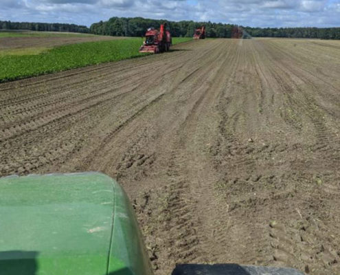Rüben roden aus der Sicht eines Maschinenführers auf dem Rübenroder Holmer Terra DOS