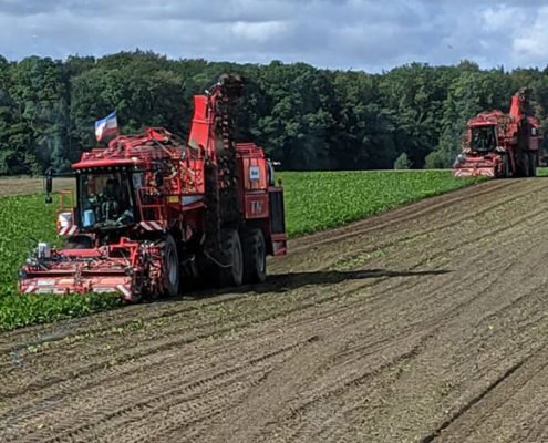 Team Blunk Lalendorf bei der Rübenernte 2019 in Mecklenburg-Vorpommern