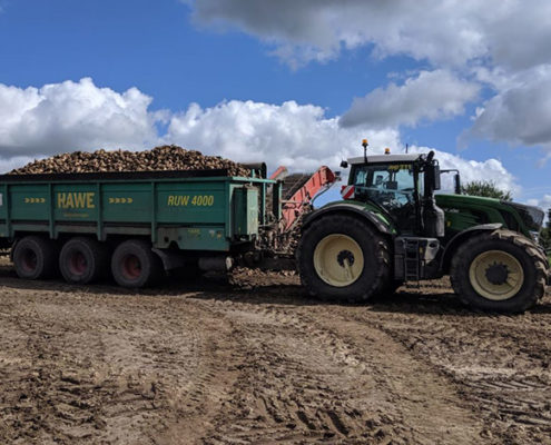 Team Blunk Lalendorf bei der Rübenernte 2019 in Mecklenburg-Vorpommern