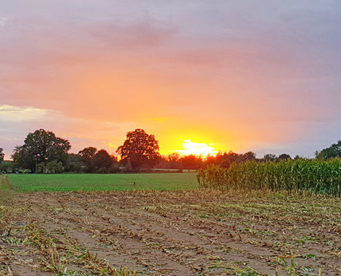 Film Herbst bei Blunk