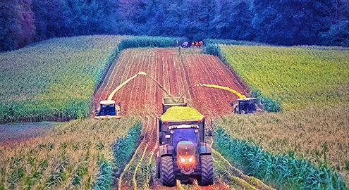Film Herbst bei Blunk