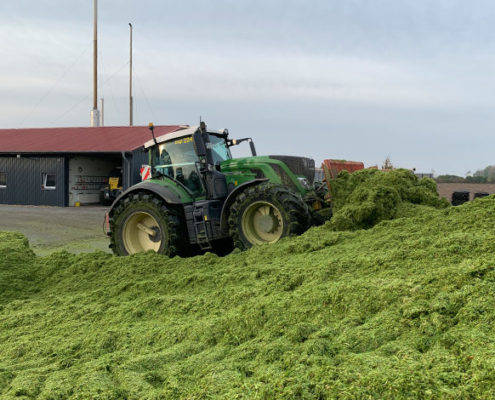 Blunk bei späten Herbst- und Winterarbeiten: Holtsee Hafer-GPS 3