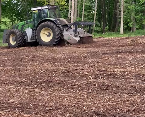 Blunk mulcht Forst gegen den Borkenkäfer 04