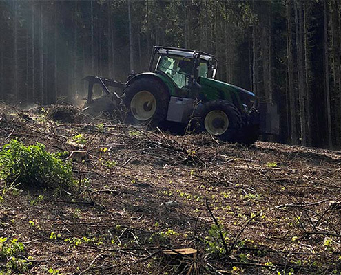 Blunk mulcht Forst gegen den Borkenkäfer 14