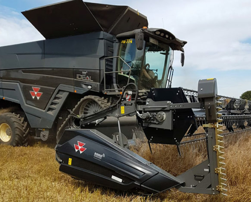 Blunk Rapsernte mit Massey Ferguson Ideal 9t in Schleswig-Holstein 01