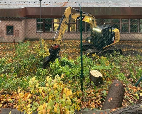 Blunk Umwelt Forst Baufeld Räumung Bäume fällen 02