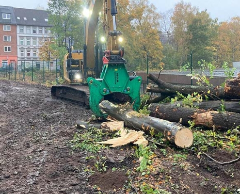 Blunk Umwelt Forst Baufeld Räumung Bäume fällen 05