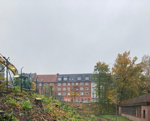Blunk Umwelt Forst Baufeld Räumung Bäume fällen 07