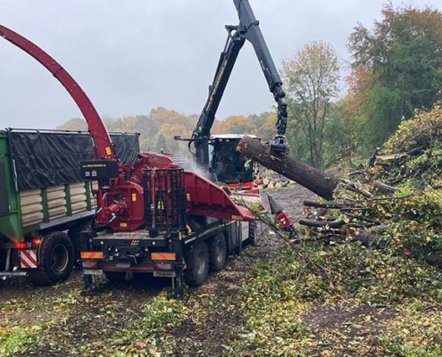 Blu Uumwelt Forst Baufeld VorbereiBlunk Umwelt Forst Baufeld Räumung Bäume fällen 23tung Räumung Bäume fällen 23