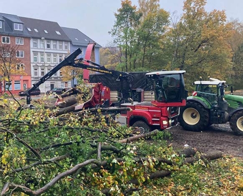 Blunk Umwelt Forst Baufeld Räumung Bäume fällen 25