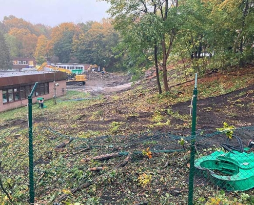 Blunk Umwelt Forst Baufeld Räumung Bäume fällen 34