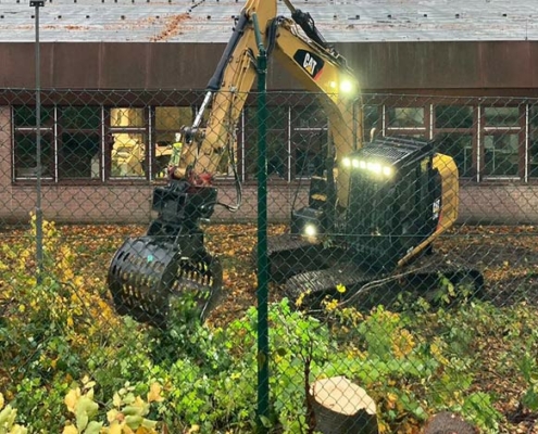 Blunk Umwelt Forst Baufeld Räumung Bäume fällen 37