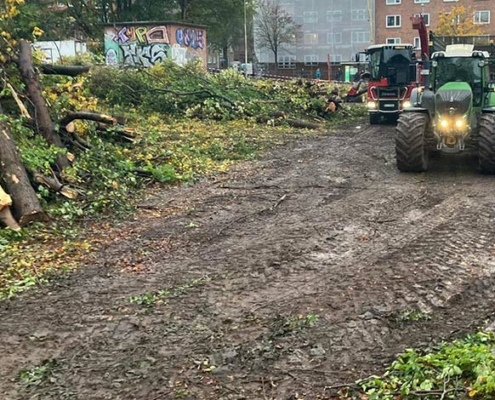Blunk Umwelt Forst Baufeld Räumung Bäume fällen 36
