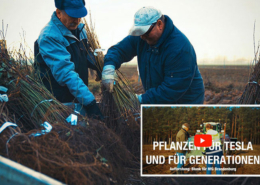 Blunk: Bäume pflanzen für NfG für TESLA Titel2