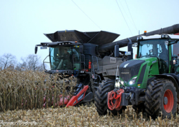Blunk: Maisdrusch Körnermais - FOTO von LoloFlorian Michaelis 09