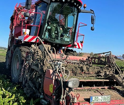 Blunk Rübenernte: Rüben roden - Foto von Marvin Vollmar 02