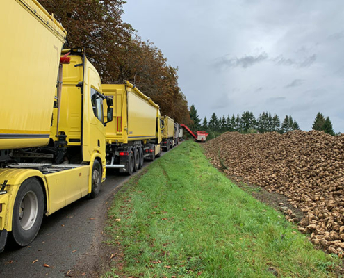 Blunk Rübenernte: Rüben verladen ab Feld - Foto von Sebastian Oechsle 04