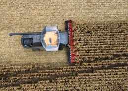 Blunk-Teams ernten und dreschen Körnermais - Foto Tillmann Döring - 07