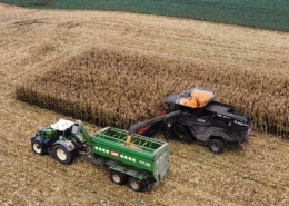 Blunk-Teams ernten und dreschen Körnermais - Foto Tillmann Döring - 08