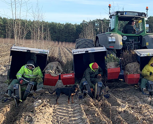 Aufforstung Beeskow: Ersteinsatz der neuen Forst-Pflanzmaschine - Foto Helge Witt - 01a