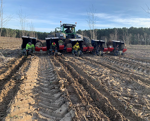 Aufforstung Beeskow: Ersteinsatz der neuen Forst-Pflanzmaschine - Foto Helge Witt - 03