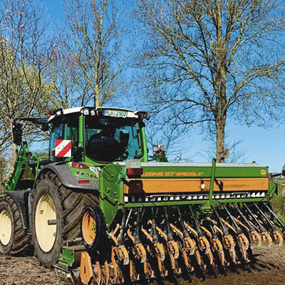 Sonnenblumen für Spendensammlung in Bornhöved