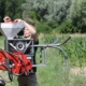Blunk Biologische Schädlingsbekämpfung mit Trichogramma gegen Maiszünsler - Foto BIOCARE 04