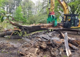 Forst-Team von Blunk bei Baum Bergung aus Wasser nach Orkan 02