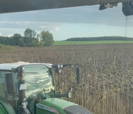 Blunk Sonnenblumen Ernte 2022 - Foto A. Propp 02