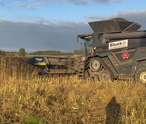 Blunk Sonnenblumen Ernte 2022 - Foto A. Propp 10